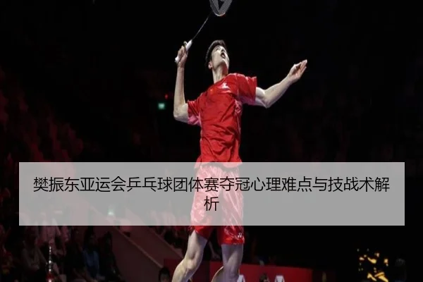 樊振东亚运会乒乓球团体赛夺冠心理难点与技战术解析（tianchen）